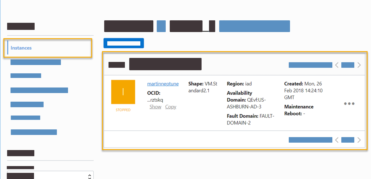 oracle neptune instance