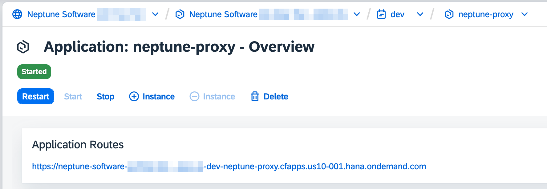 neptune proxy url